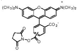 5f30e2ba86497.png image.png