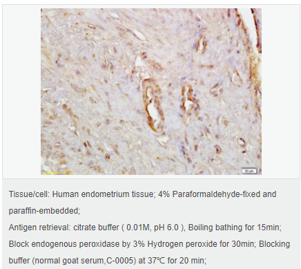 6052aec46a0fd.png image.png