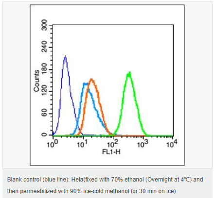 6052b728060c1.png image.png