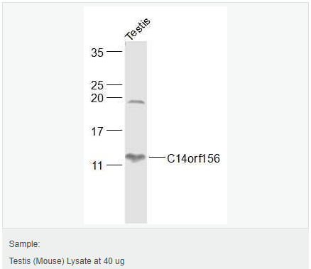 6052b7e388f64.png image.png