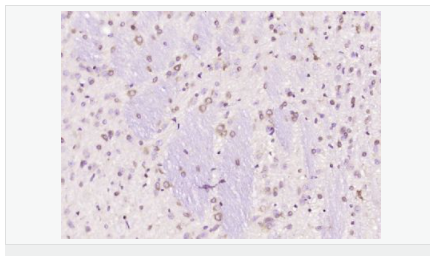 605446340e7ad.png image.png