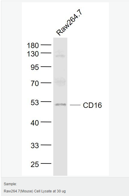 60544bfbd01ed.png image.png