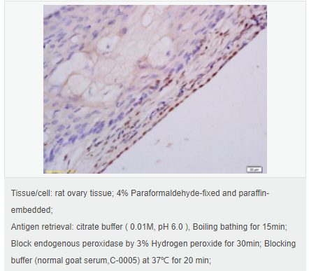 60582c3fd09bc.png image.png