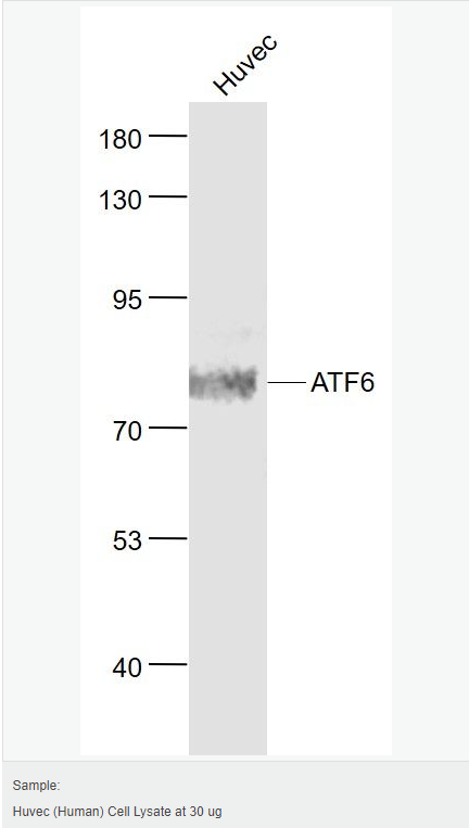 605835586f26b.png image.png