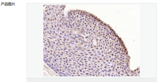 60583fdfb3921.png image.png