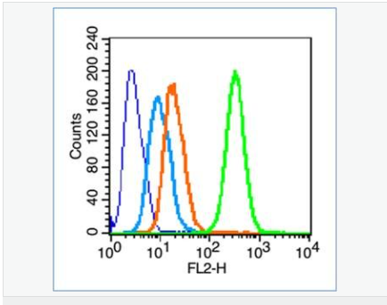 60583fec41487.png image.png