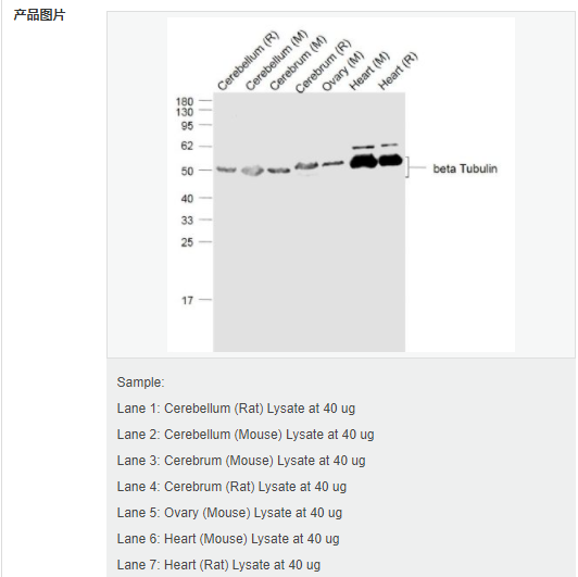 605840e2c4ac5.png image.png