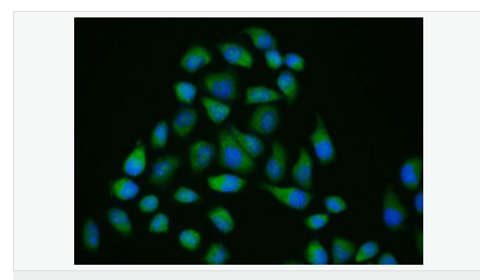 60594591e1dbe.png image.png