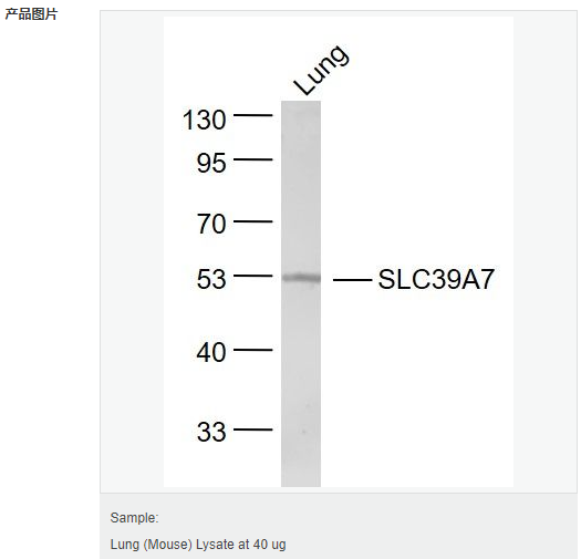 605991d3aae5c.png image.png