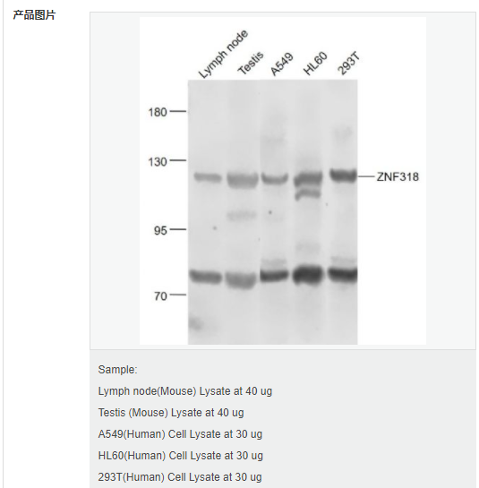 60599aeb865b5.png image.png