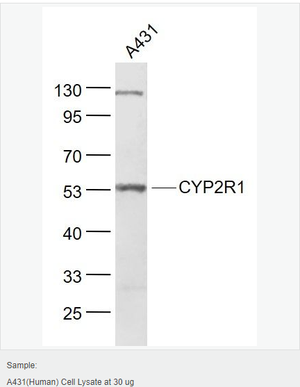 6059a9a6853c6.png image.png