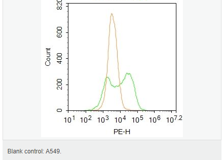 605c43597aae2.png image.png