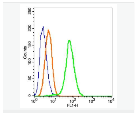 605d76650ed4a.png image.png