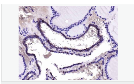 605d81cfcbfba.png image.png