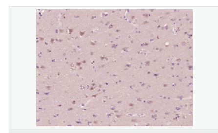 605da1883ff65.png image.png