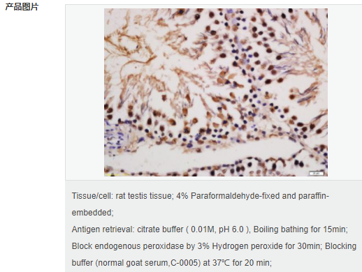 6063d0389bd8b.png image.png