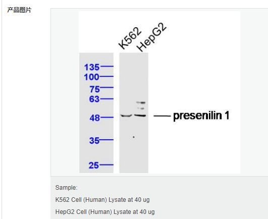 60641710833ce.png image.png