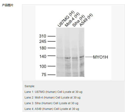 606bc77ec912e.png image.png
