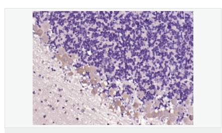 606bcbd060aa9.png image.png