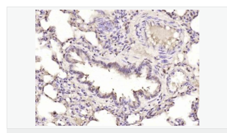 60763eb8a2580.png image.png