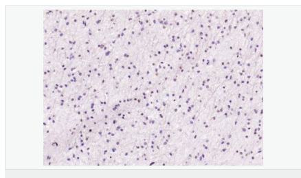 607643cc228a7.png image.png