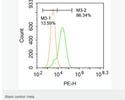 60764806e38b2.png image.png