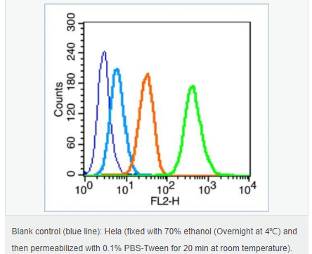 60765291ed429.png image.png