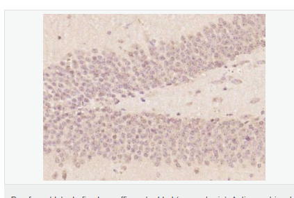 607658cc7ab40.png image.png