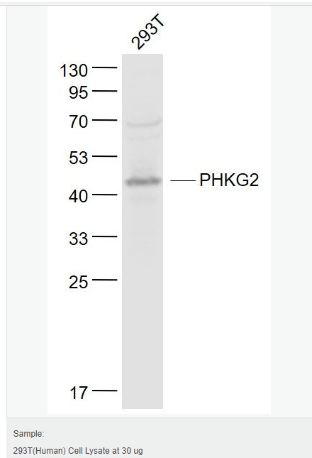 607659cdc533c.png image.png