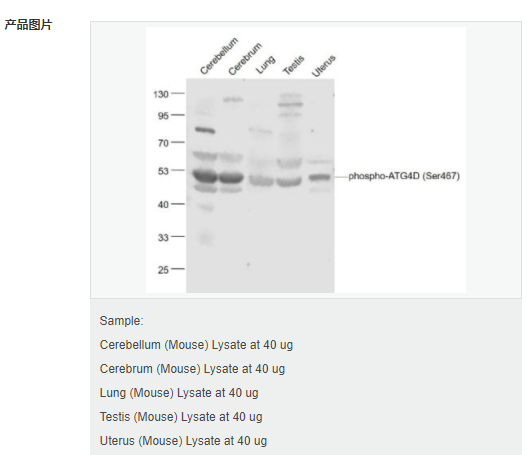 60765a2caed34.png image.png