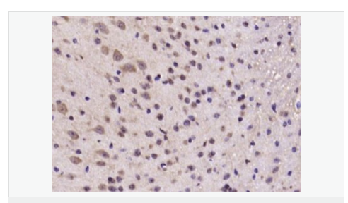 6076839ca0cdf.png image.png