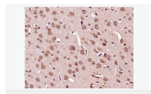 607799c449b00.png image.png