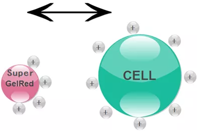 6462d39e2d72f.png image.png